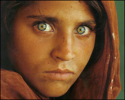 Afghan Girl [1984]