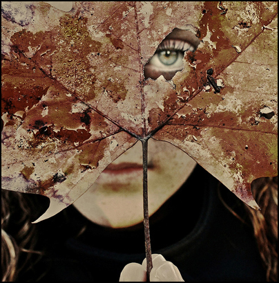 Carnival, photo by Federico Erra