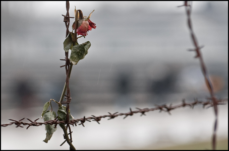 Dachau, l'ex campo di concentramento Dachau, l'ex campo di concentramento