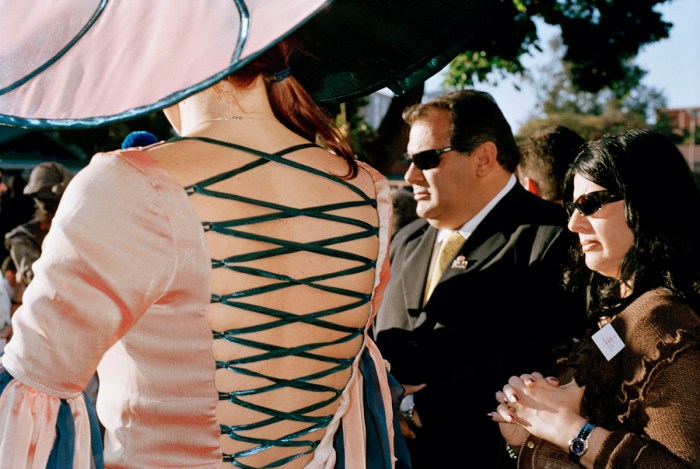 Martin Parr - Luxury