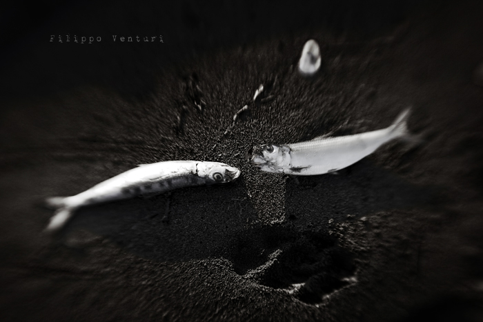 Filippo Venturi - Dancer in the dark