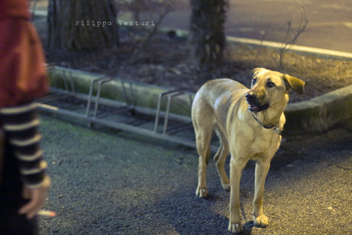 Inaugurazione Collettiva Accademia Romagna - Galleria Comunale di Cesenatico (foto di Filippo Venturi n. 14)