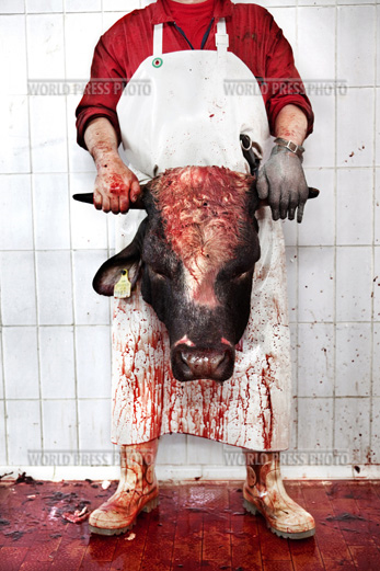 Tommaso Ausili - Slaughterhouse (World Press Photo 2010) foto 1