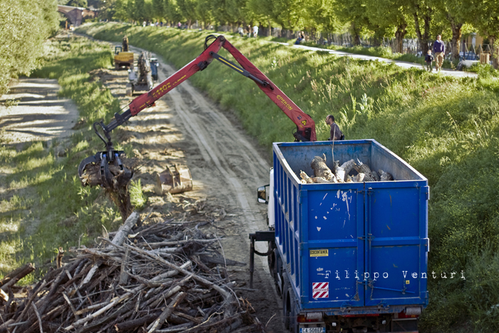 Rimozione dei tronchi e detriti che si erano accumulati alla base del Ponte Nuovo, nelle recenti piene del Fiume Savio