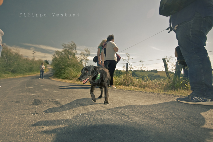 Pomeriggio da Samantha (foto 18)