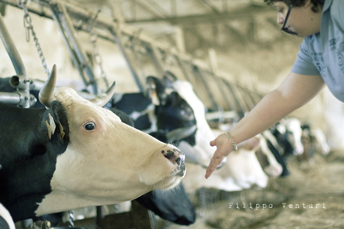 Pomeriggio da Samantha (foto 22)