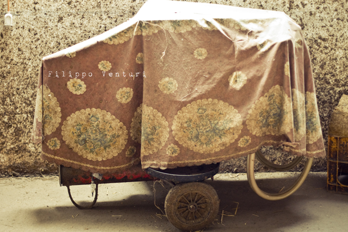 Pomeriggio da Samantha (foto 24)