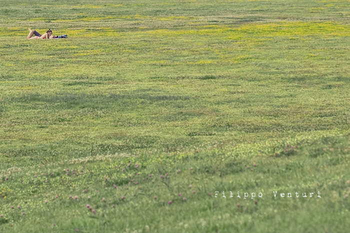 Cesena Art Festival 2010, 7a Edizione - Foto 8