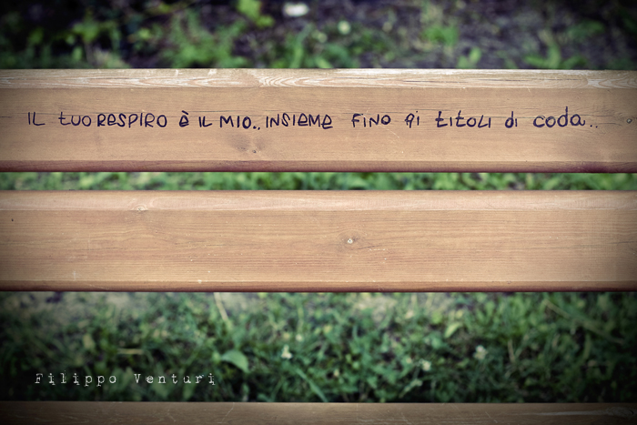 Cesena Art Festival 2010, 7a Edizione - Foto 11