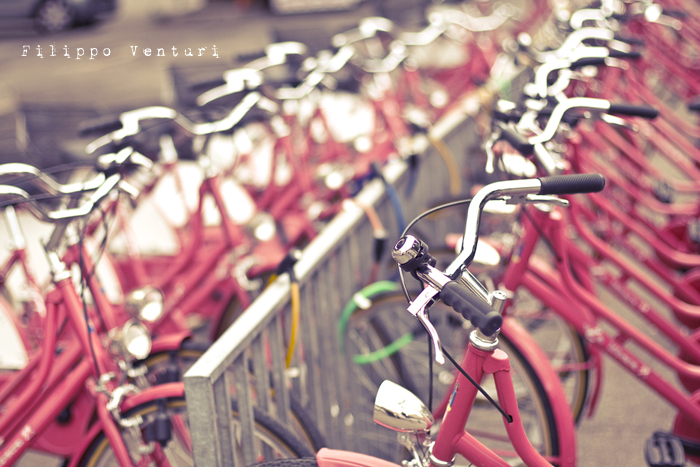 Fotografia Europea 2010 a Reggio Emilia - Foto 2