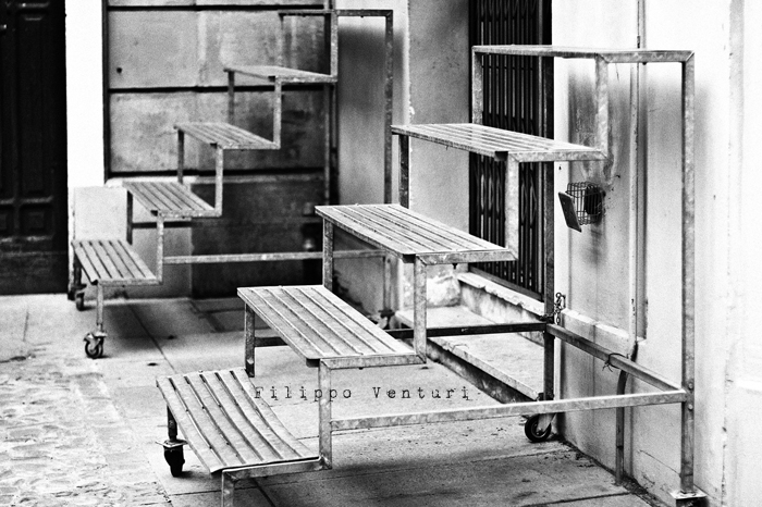 Fotografia Europea 2010 a Reggio Emilia - Foto 10