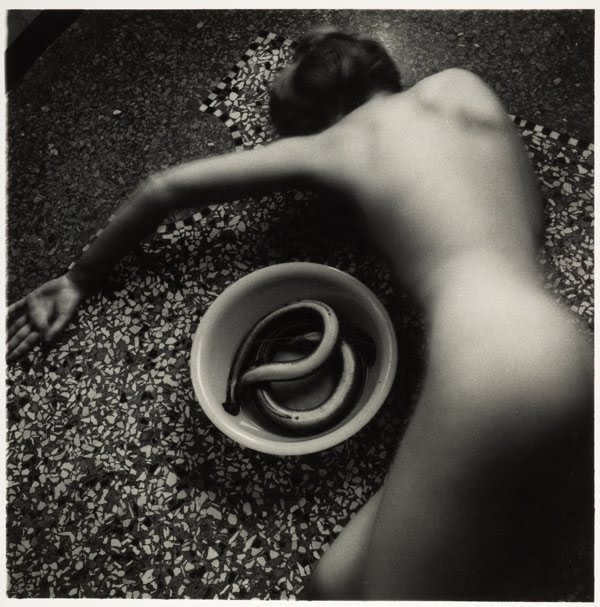 Mostra di Francesca Woodman a Milano, Palazzo della Ragione (foto 2)