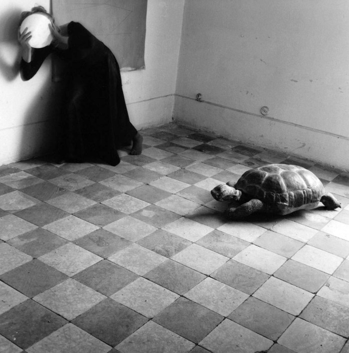 Mostra di Francesca Woodman a Milano, Palazzo della Ragione (foto 8)