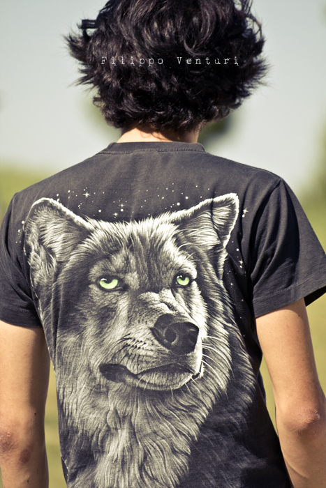 Jurassic Skatepark di Cesena, LowBudgetTour@Life is Dangerous Contest - Foto 12