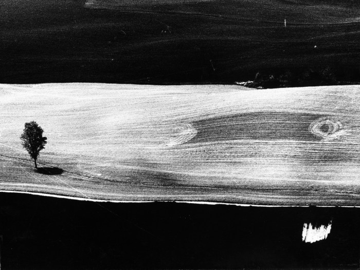 Mario Giacomelli - Campagna Marchigiana - Presa di coscienza sulla natura