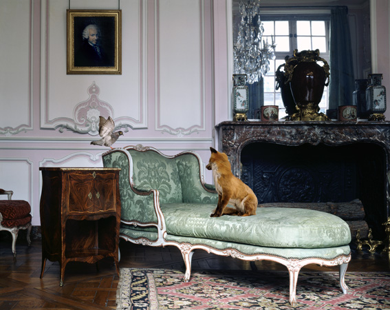 Karen Knorr - Salon Lilac Louis XV, dalla serie Fables, 2004-2007, Musée Carnavalet, Paris