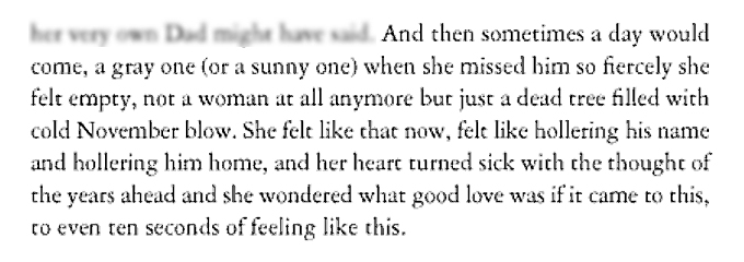 Stephen King - Lisey's Story