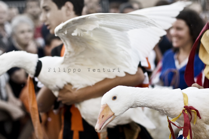 Palio del Daino 2010, a Mondaino - Foto 14
