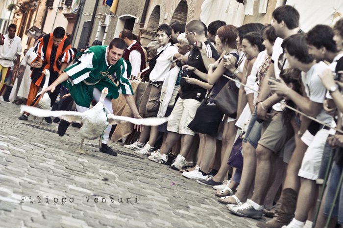 Palio del Daino 2010, a Mondaino - Foto 15