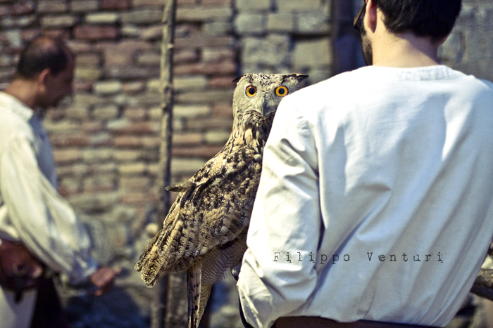 Palio del Daino 2010, a Mondaino - Foto 17