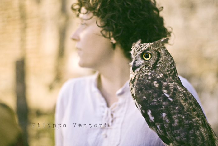 Palio del Daino 2010, a Mondaino - Foto 18