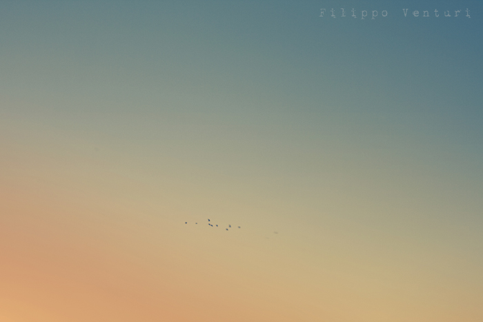 Tramonto al Jurassic Skatepark (Foto 4) Tramonto al Jurassic Skatepark (Foto 4)