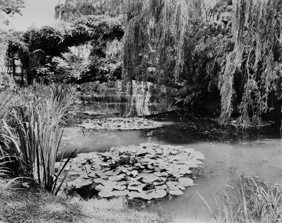 Claude Monet 1840-1926 - Grand Palais - Paris