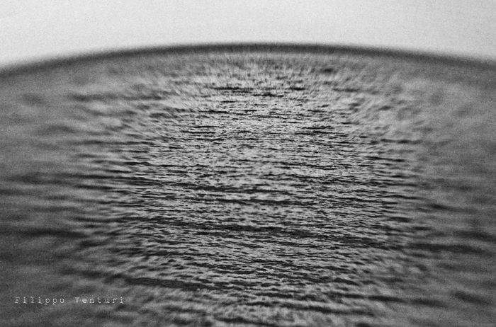 Li vuoi quei kiwi? - foto 11 Li vuoi quei kiwi? - foto 11