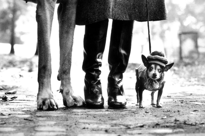 Elliott Erwitt - Photo 9