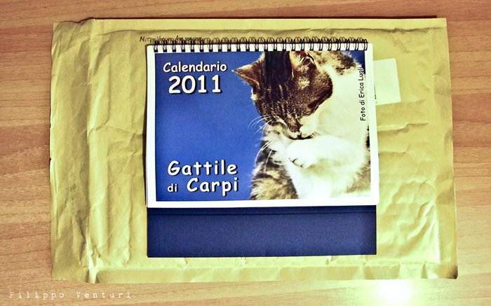 Gattile di Carpi - Foto 2