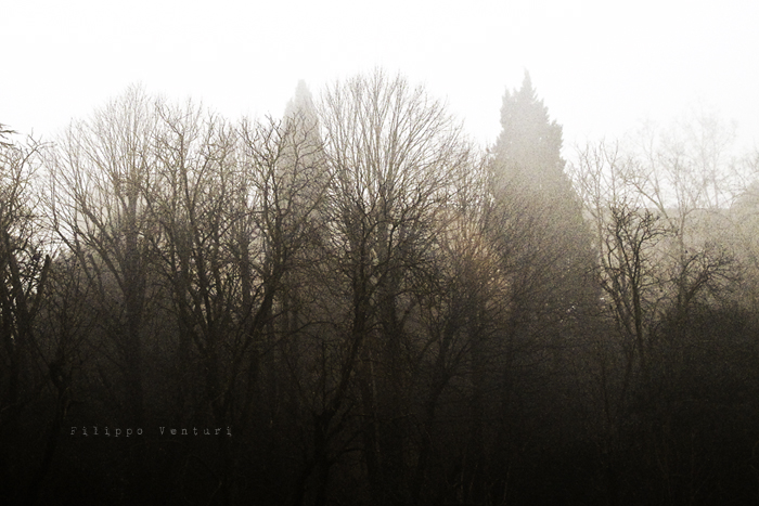 Cesena, 23 Dicembre 2010 - Foto 1