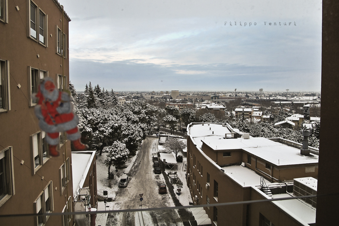 Cesena, 23 Dicembre 2010 - Foto 4