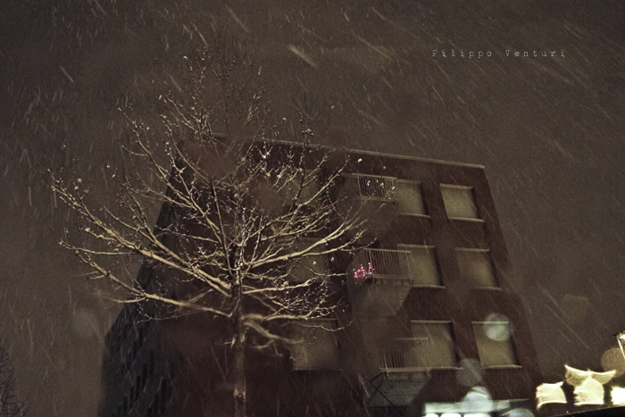 Cesena, 23 Dicembre 2010 - Foto 6