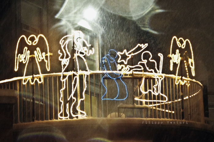 Cesena, 23 Dicembre 2010 - Foto 8