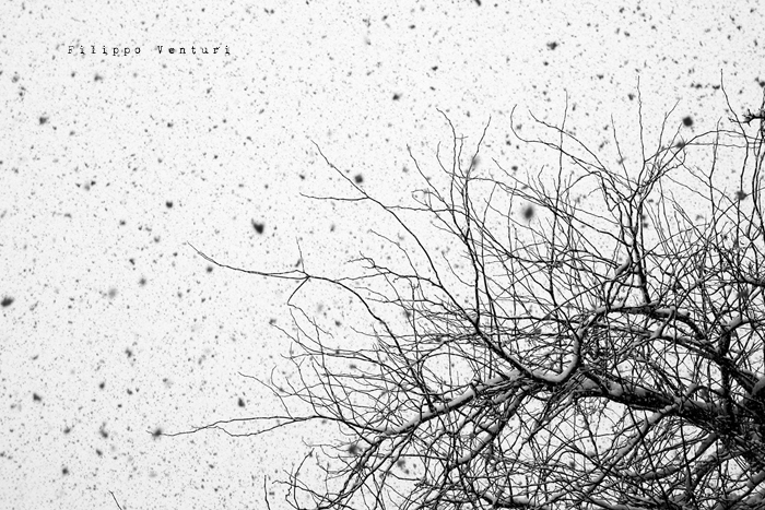 Cesena, 17 Dicembre 2010 - Foto 2