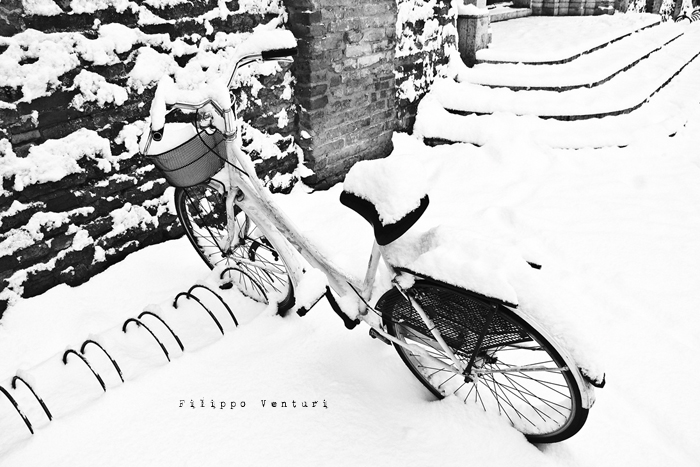 Cesena, 17 Dicembre 2010 - Foto 3