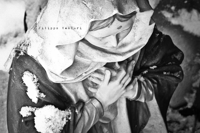 Cesena, 17 Dicembre 2010 - Foto 8