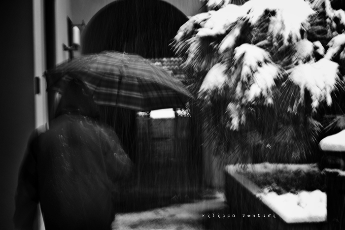 Cesena, 17 Dicembre 2010 - Foto 9