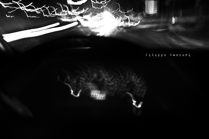 Cesena, 17 Dicembre 2010 - Foto 11