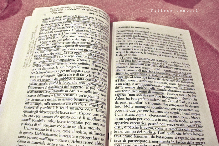 Trattoria Quanto Basta, Cesena - Foto 6 Trattoria Quanto Basta, Cesena - Foto 6