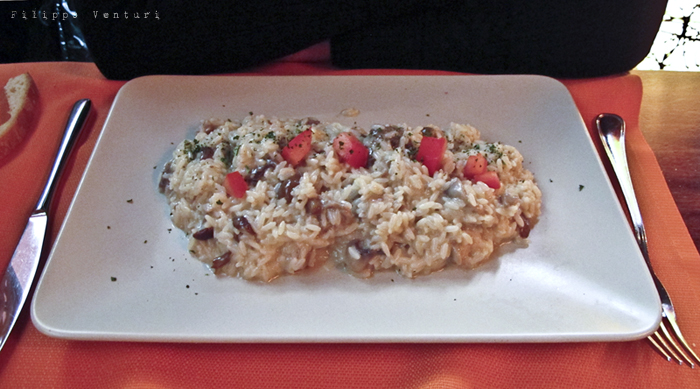 Yann degli usignoli - Foto 19