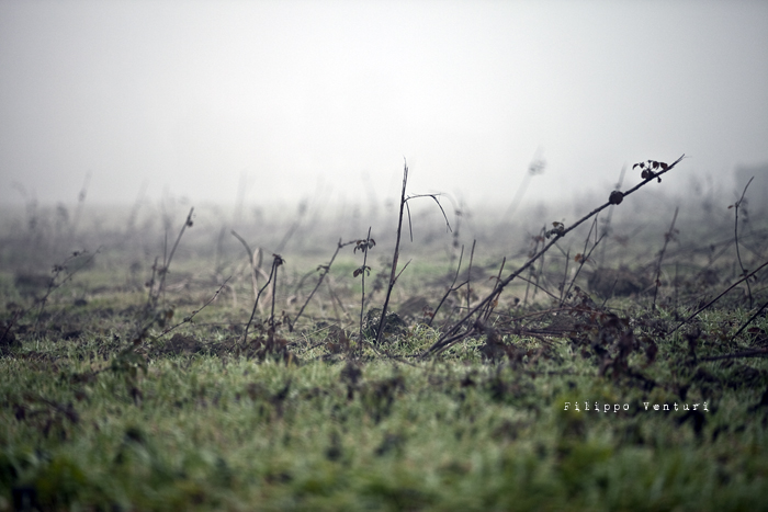 Dies irae (photo 1) Dies irae (photo 1)