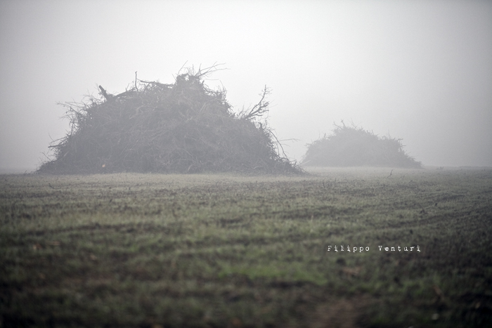 Dies irae (photo 2) Dies irae (photo 2)