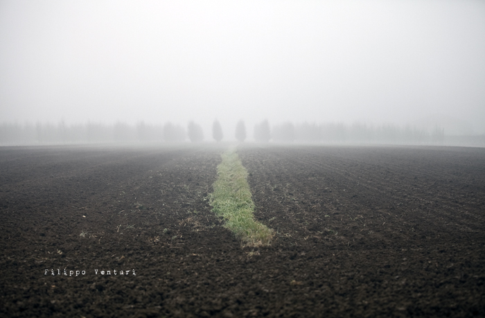 Dies irae (photo 11) Dies irae (photo 11)