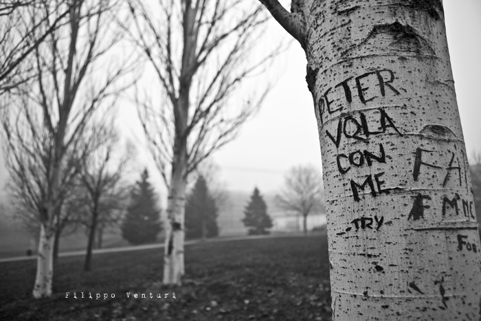 Neverland for sale (photo 3)