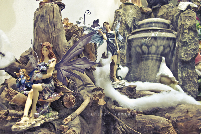 Il bosco incantato (foto 12) Il bosco incantato (foto 12)