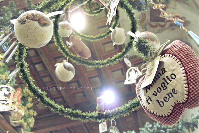 Il bosco incantato (foto 13) Il bosco incantato (foto 13)