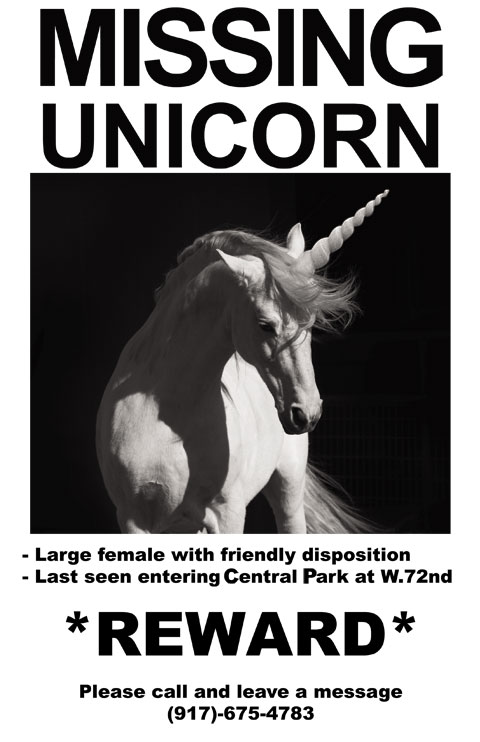 Missing Unicorn Poster New York City