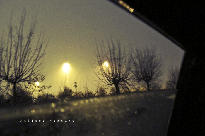 Dream of deluxe potatoes and coca light (photo 3)