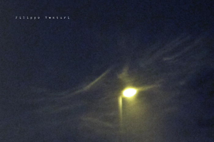 Dream of deluxe potatoes and coca light (photo 5)